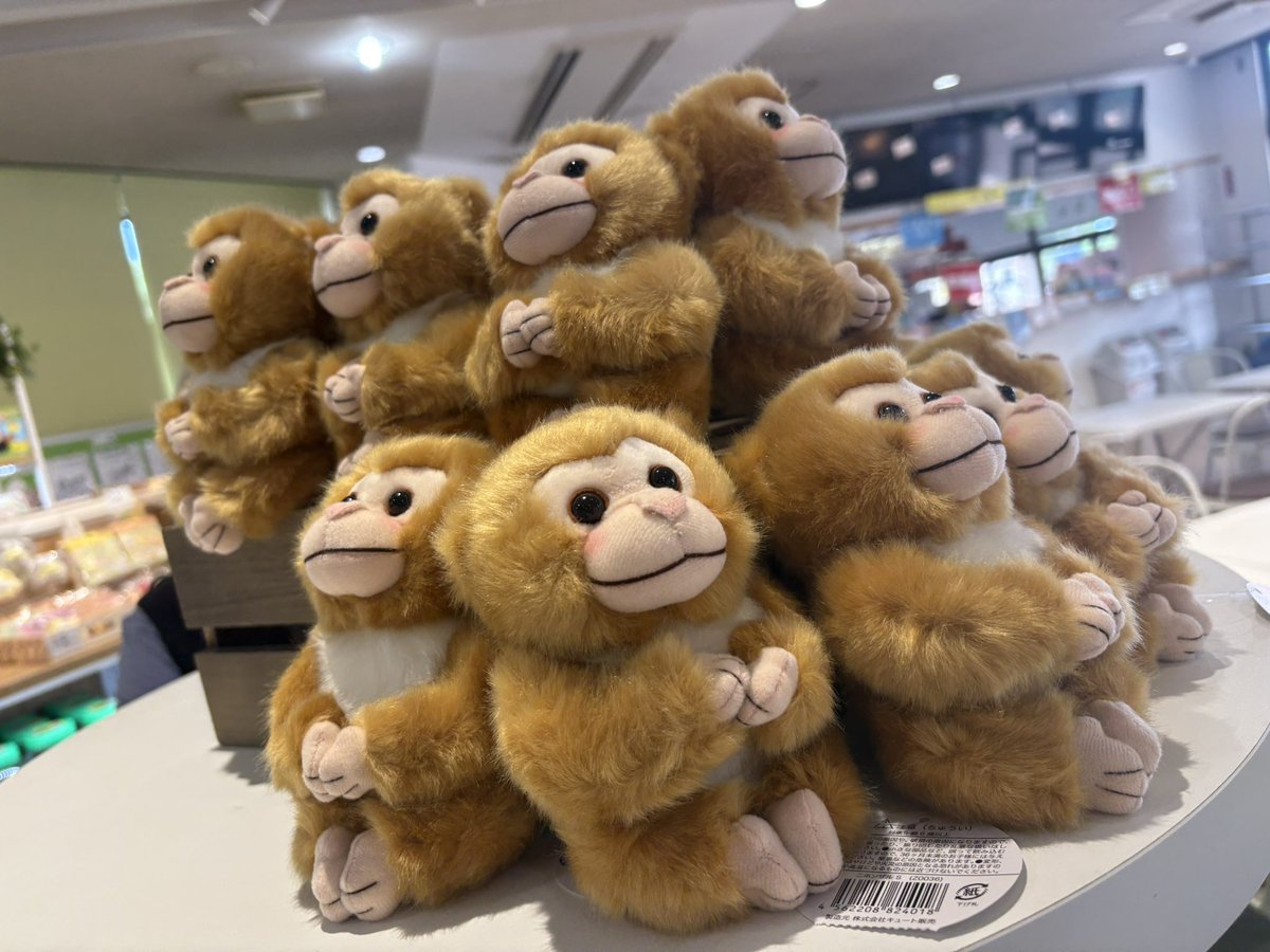 e6dEvLpan34726's tweet photo. おはようございます☀
今日パンチに会いに行かれる方は
熱中症に気をつけてください🌴
今思い返せば昨日あんなに暑かったのに
汗を一滴もかきませんでした
熱中症の始まりだったのかも😱
今日あたりコレ再販されるかな?🐒
#がんばってるねパンチ
#市川市動植物園
#パンチくん
#Punch #Monke https://t.co/7rxmuqWEt7