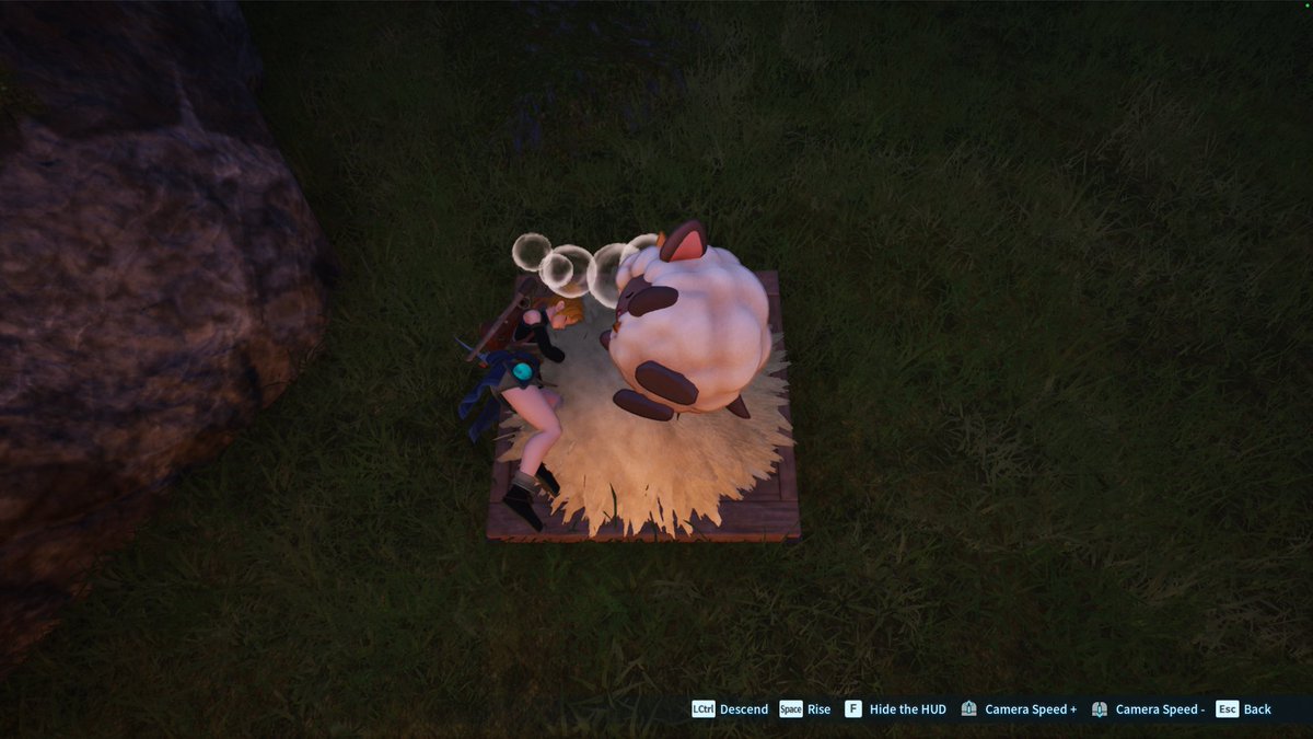 holyone42's tweet photo. Sleeping with my pal 💛

Palworld 1.0 has been such a blast on stream #palworld https://t.co/GmxME9oT7i