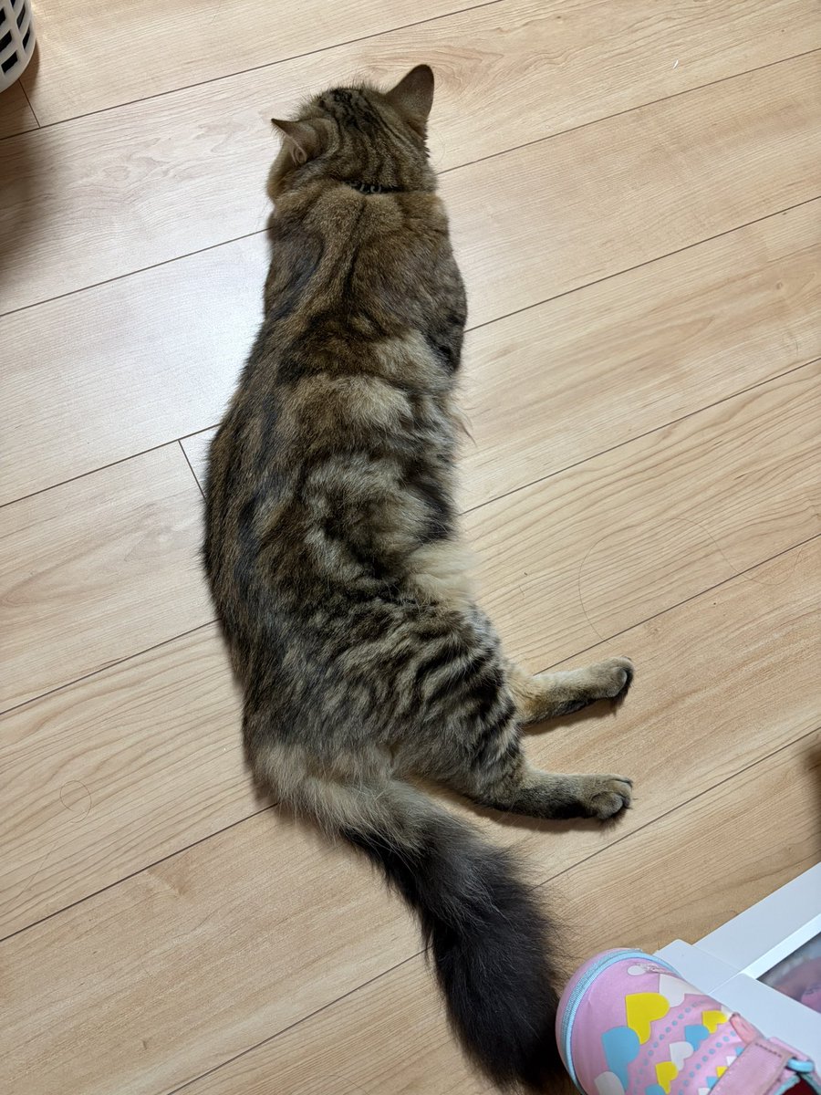 0205901ntss4's tweet photo. ほんで、君は通路のど真ん中で邪魔なのよ https://t.co/u5gRqpSVVN