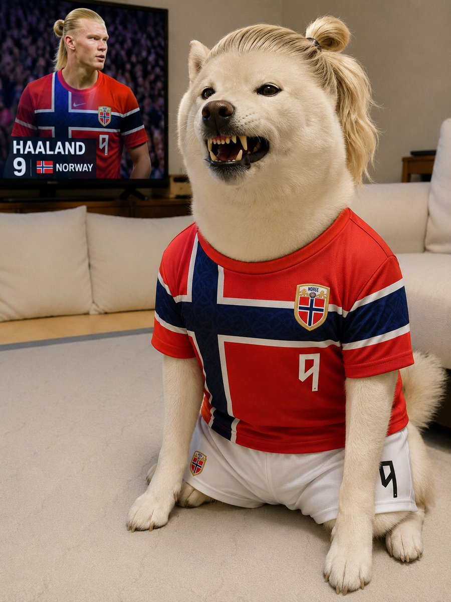 daikichi_kid's tweet photo. だい吉ハーランドモード🇳🇴 https://t.co/UTUfOxkyNK