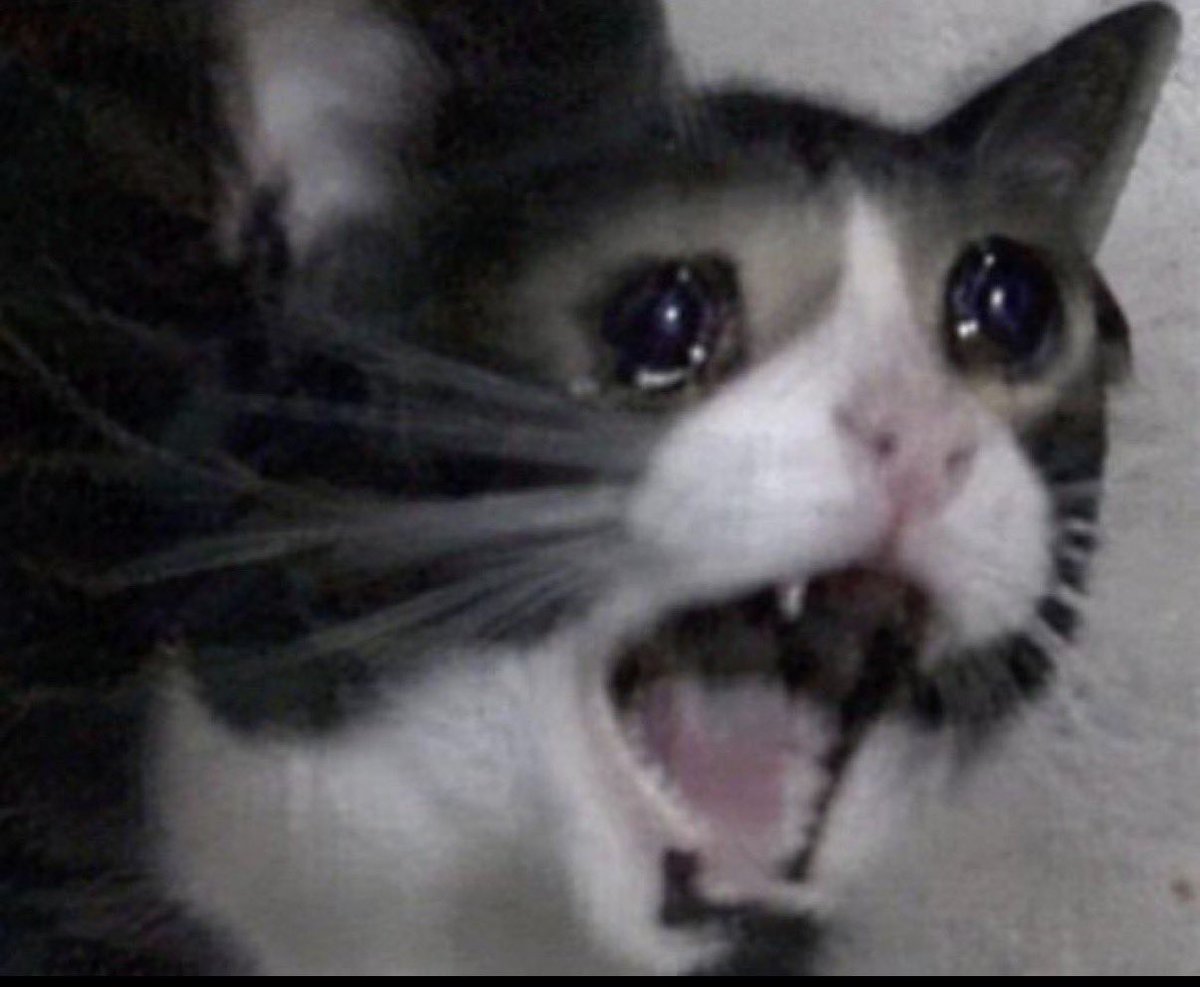 kingclaws101's tweet photo. When she keep suckin and you just busted 16 different family generations worth of sperm in her mouth https://t.co/qC74BUUqBY