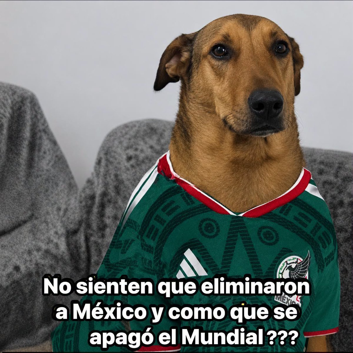 PicsLomitos_'s tweet photo. es verdad 😂 https://t.co/UNOgFjOcD1