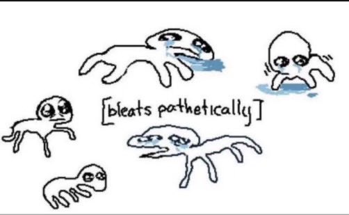 l0ucif3r_'s tweet photo. me rn https://t.co/FuiCJeJpmw