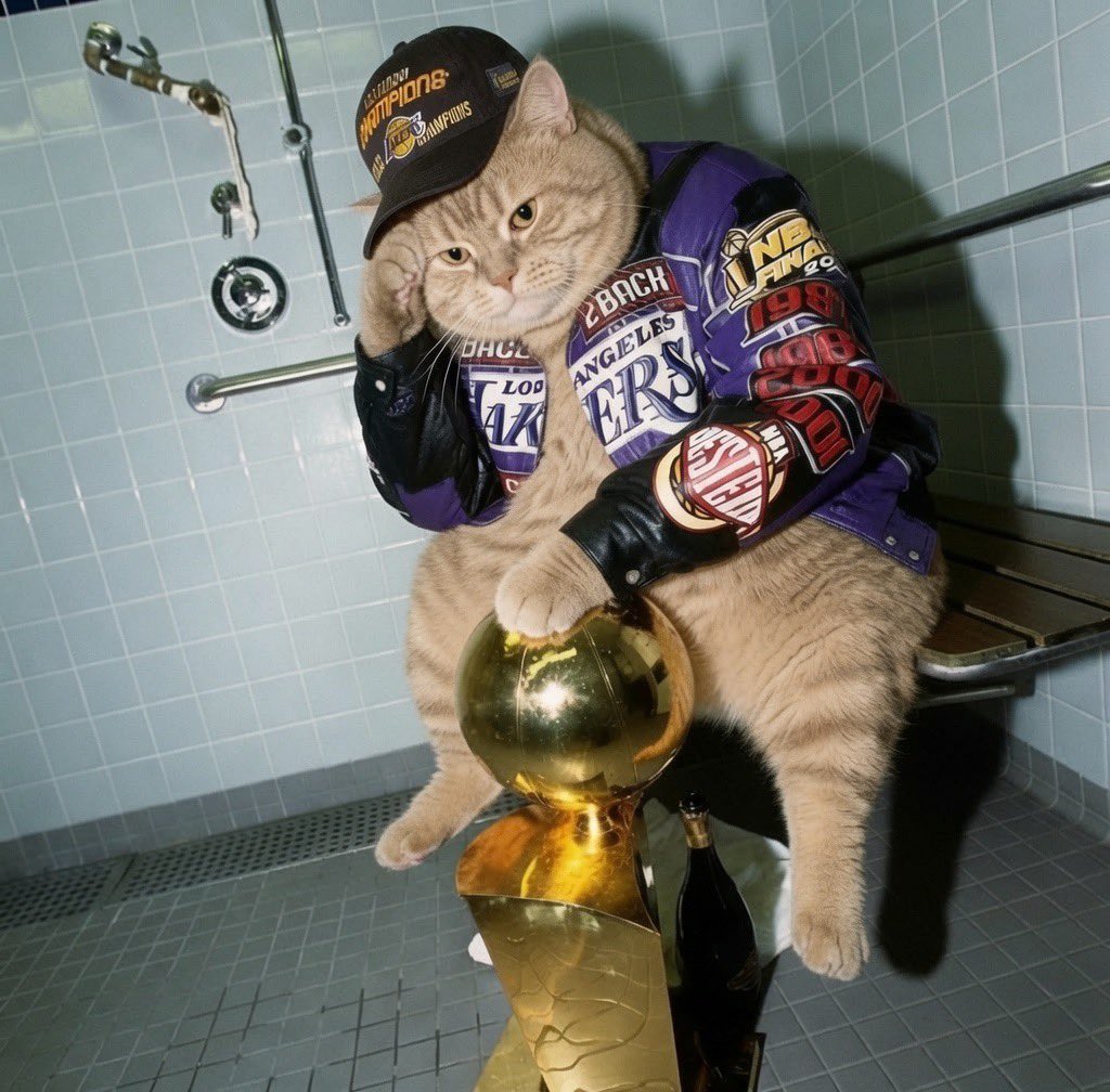 captaincapper11's tweet photo. $fatcat https://t.co/otXqXUmfIZ
