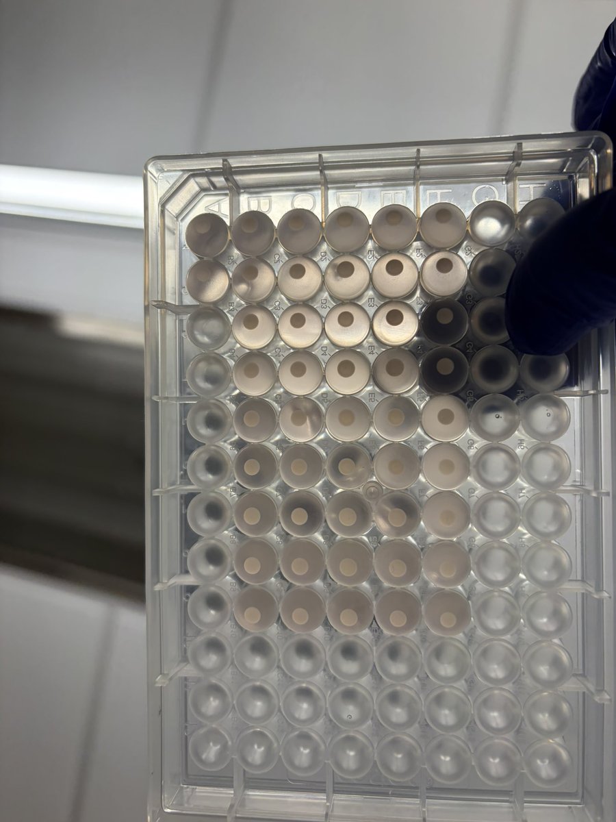 nsarellano9's tweet photo. Could these cell pellets be any more round? #aestheticallypleasing https://t.co/Z9KJxT1uuf