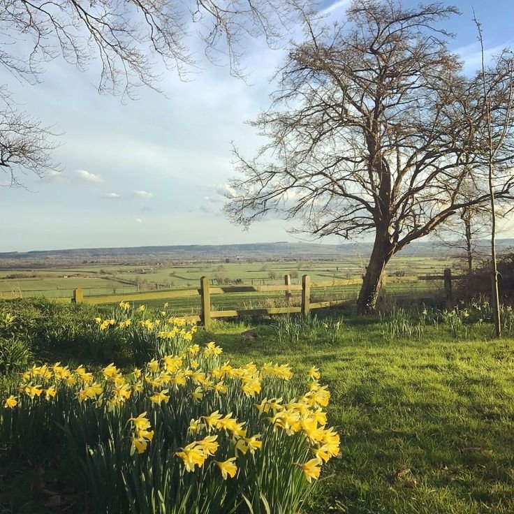 purelivn's tweet photo. i will live a quiet life https://t.co/6xgduXMlzY