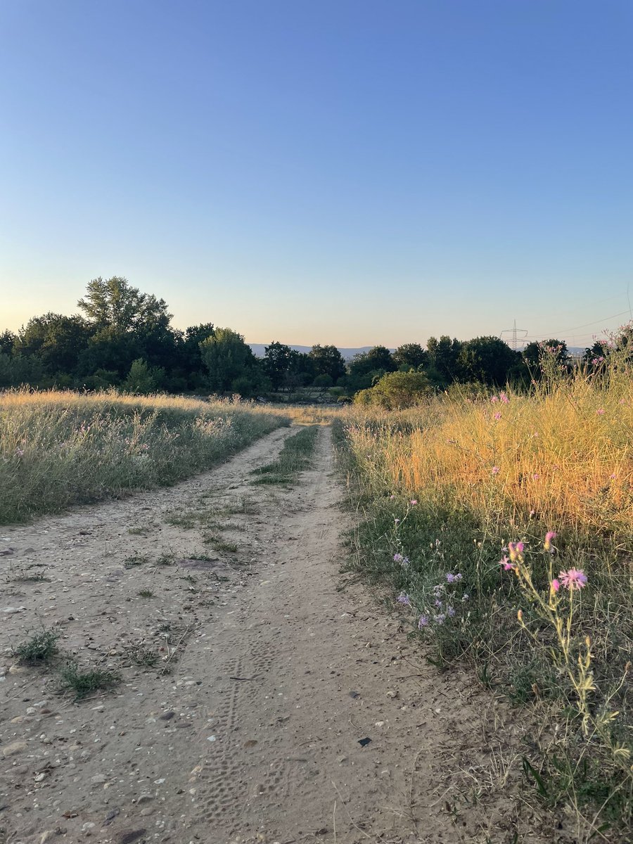 manicinterlude's tweet photo. yesterday i walked 10k steps and watched the sunset https://t.co/watWjsVBa7