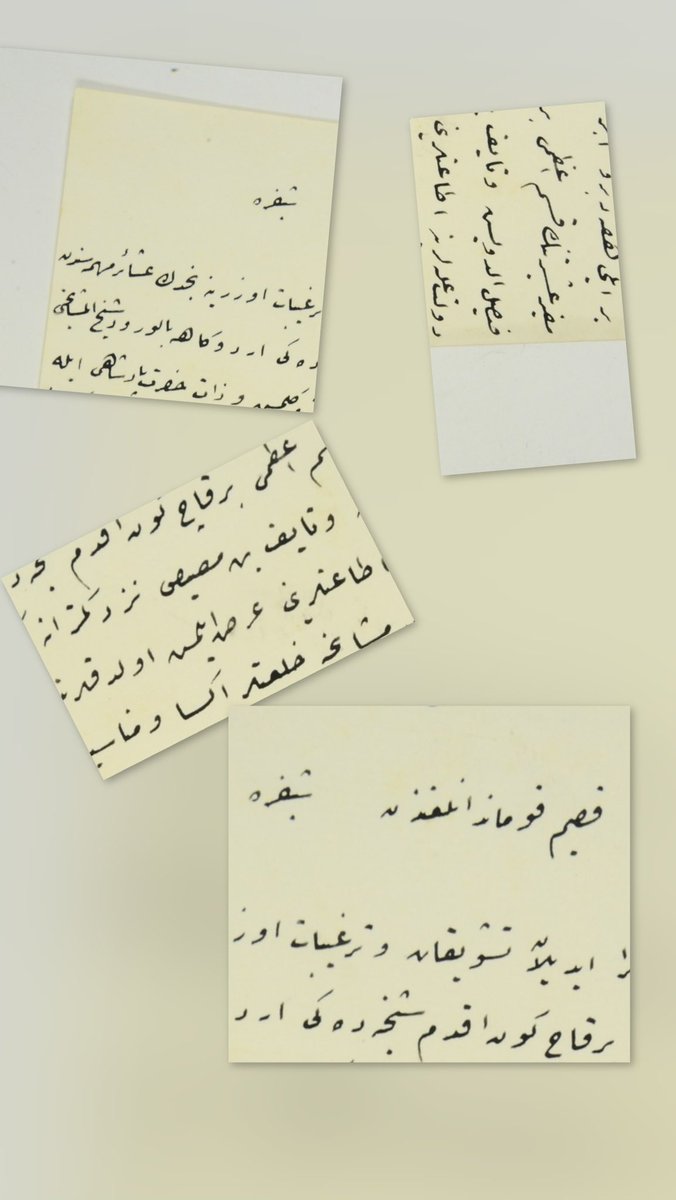 Ottoman2Archive's tweet photo. #وثائق في #الأرشيف #العثماني وردت فيها مجموعة أسماء ومناطق 👇
🔴 الشيخ زامل بن سليم
🔴 شيخ عنيزة
🔴 شيخ القصيم
🔴 عبد الرحمن بن سعود
🔴 #العجمان 
🔴 #سبيع 
🔴 السهول
🔴 #الدواثر 
🔴 #عتيبة 
🔴 #مطير 
🔴 #القصيم 
🔴 #نجد 
🔴 شيخ المشايخ فيصل الدويش
🔴 نايف بن مصيص
🔴 جبل شمر https://t.co/fnuznSa3Gb