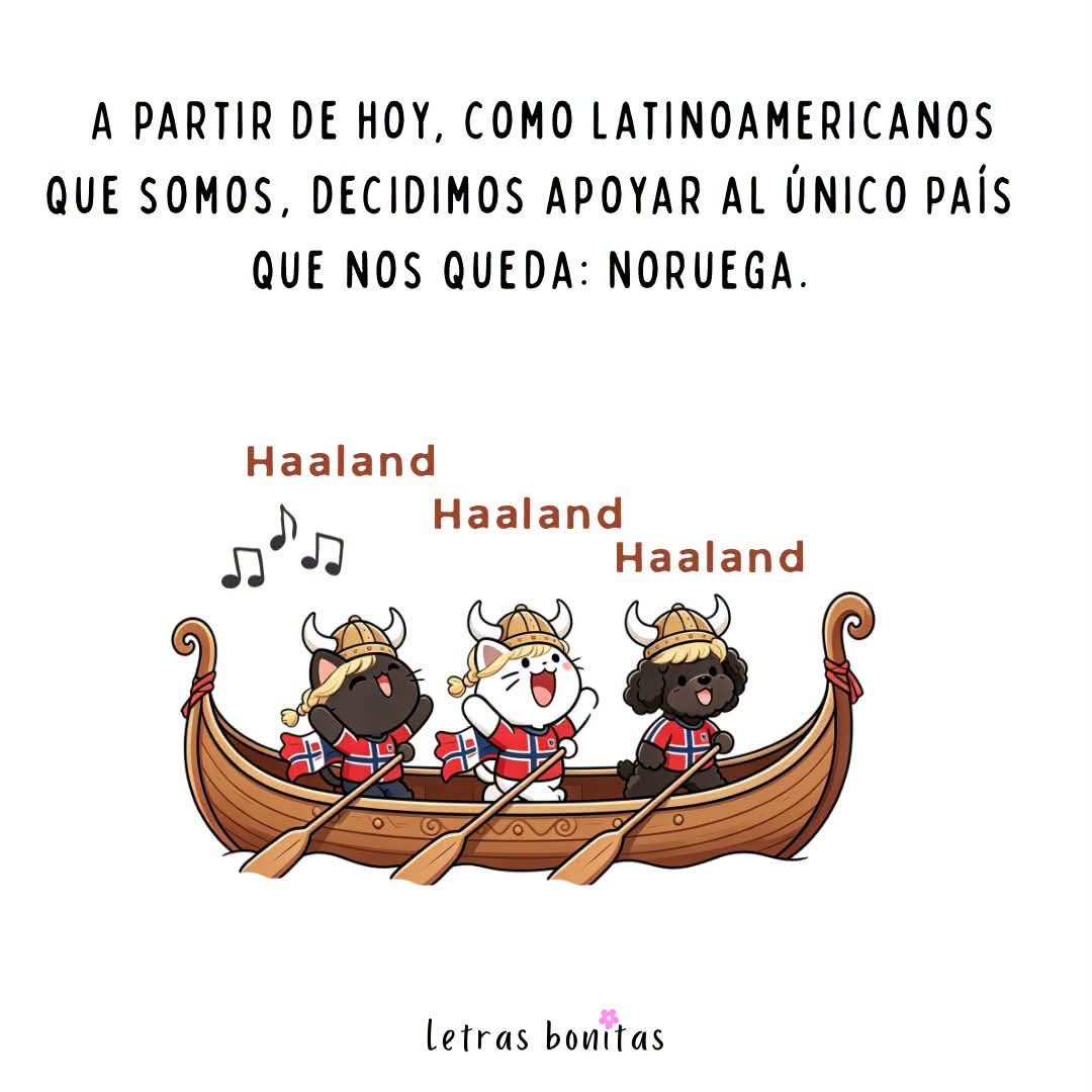 lostwithdragons's tweet photo. #Haaland https://t.co/hsa9ntSTJd