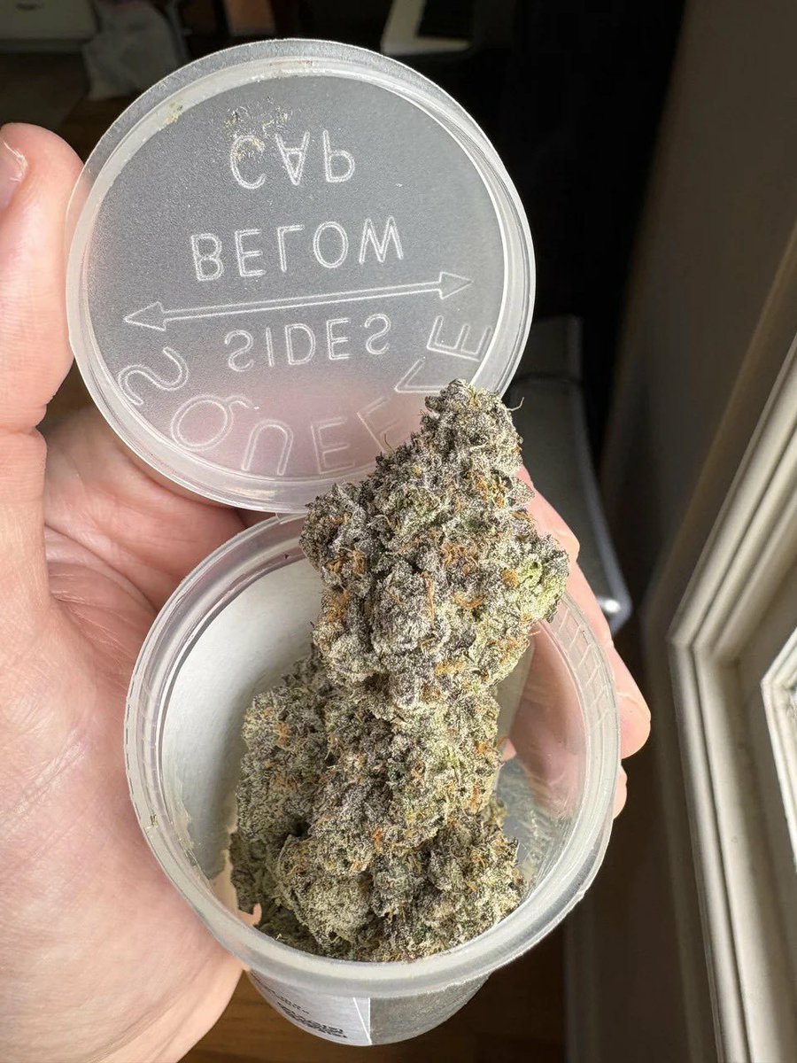 legalseeds's tweet photo. Guess the strain name !! @legalseeds https://t.co/ffZWLspvDw
