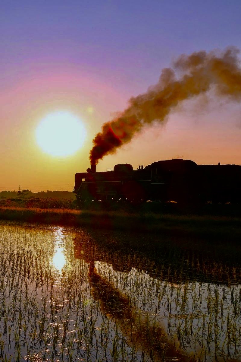 D51124's tweet photo. 磐越西線の「ＳＬばんえつ物語」🚂、真っ赤な夕陽🌇が沈む馬下(まおろし)の田んぼを行きます。
馬下🐎→猿和田🐵　2026/6/13  18:17📷
　　　　https://t.co/TpsR5zRNNB😊
＃蒸気機関車 #磐越西線 #ＳＬばんえつ物語 #C57 #馬下 #猿和田 #五泉市 #新潟県 https://t.co/gsTxdxhuxE