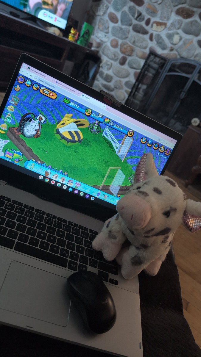 pixieplayer_'s tweet photo. I was planning on naming her Susie Q as that was what won the poll but Peaches spoke to me more with that cute little head tilt she's got. So meet Peaches and she's got a decked out polka dot room.
#webkinz #Ganz #webkinzplushies #plushie https://t.co/rqlWUs1y8b