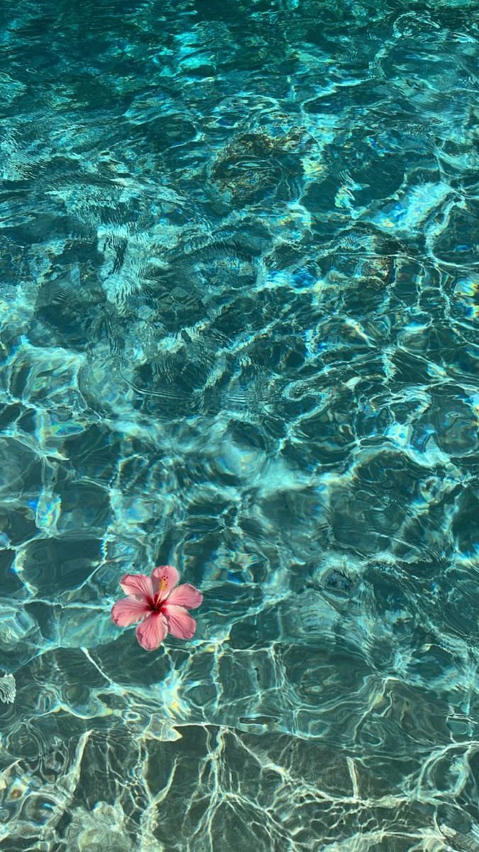 elyradream's tweet photo. serenity in blue https://t.co/Z9CeRnRTBs