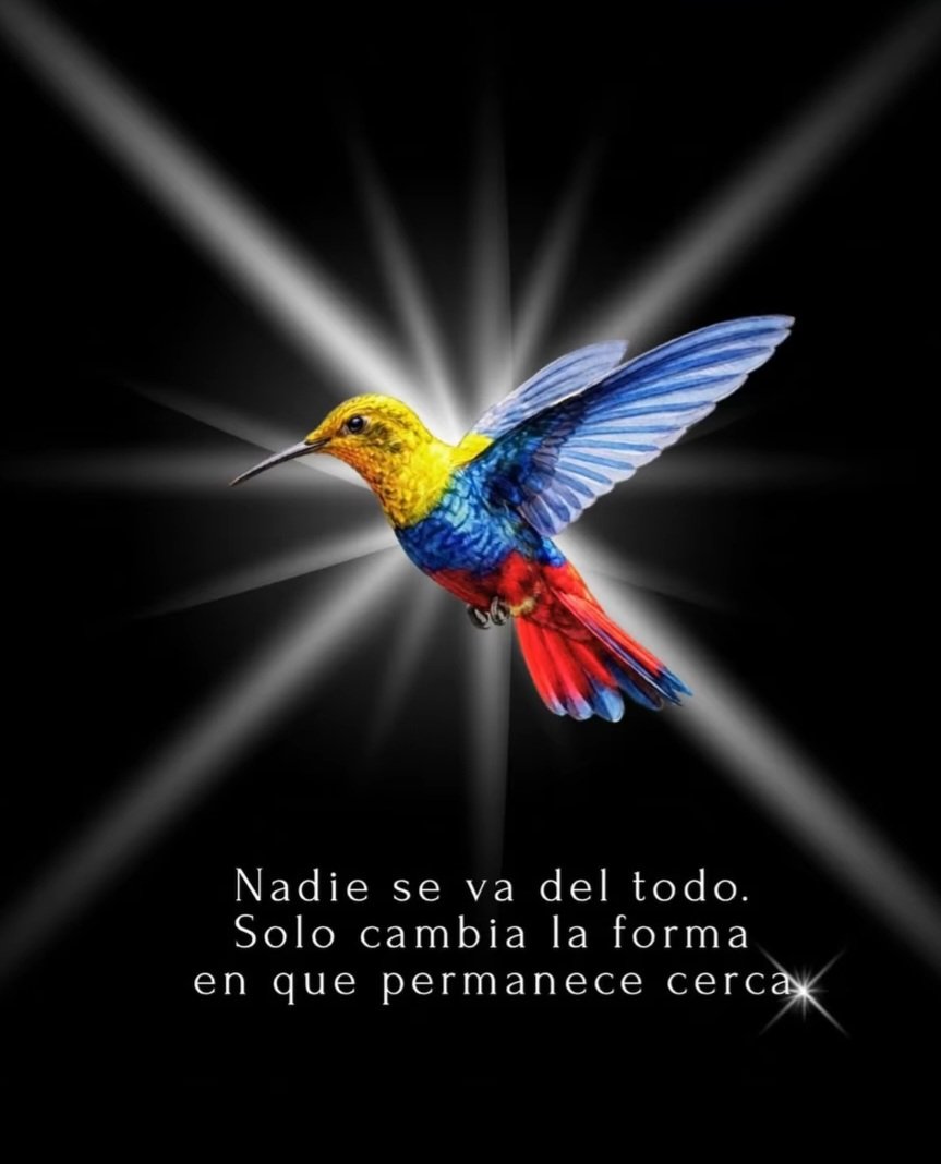 siulheller's tweet photo. ✨️ https://t.co/4W9SObqNMb