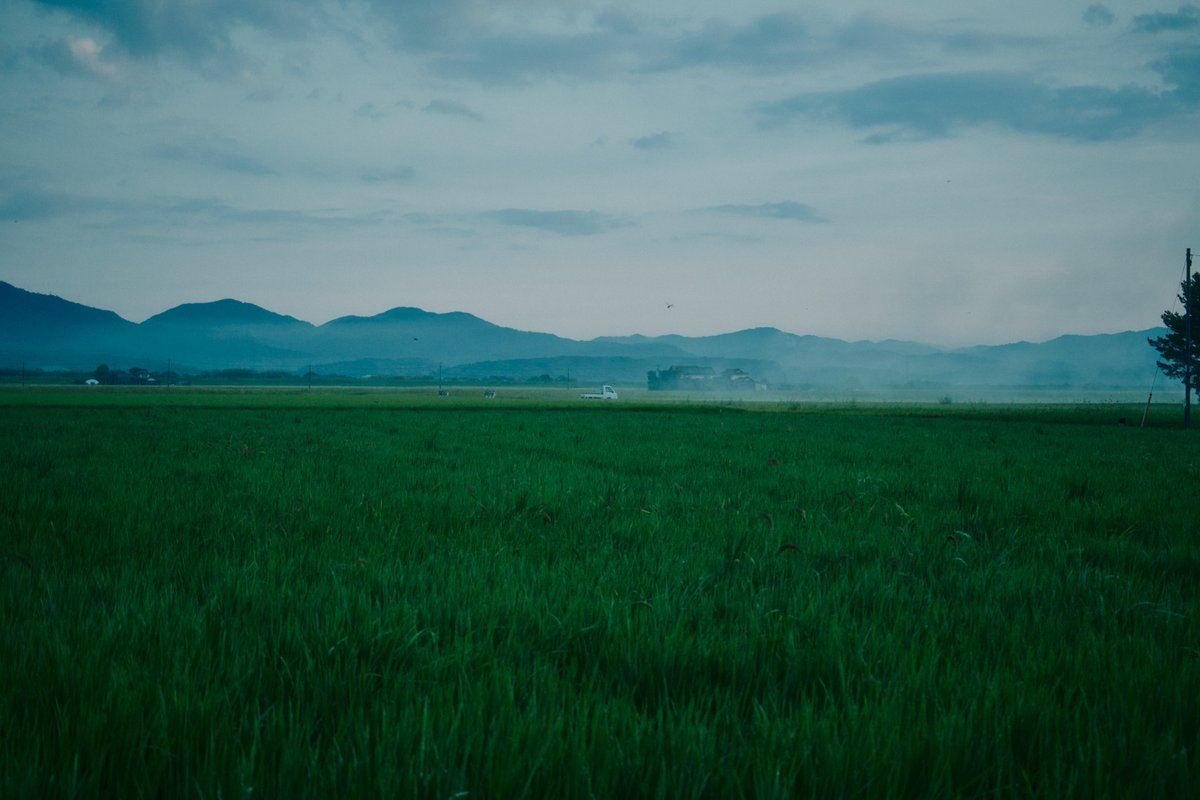 shintake_photo's tweet photo. Countryside scenes in Japan. https://t.co/JStZYvqeOr