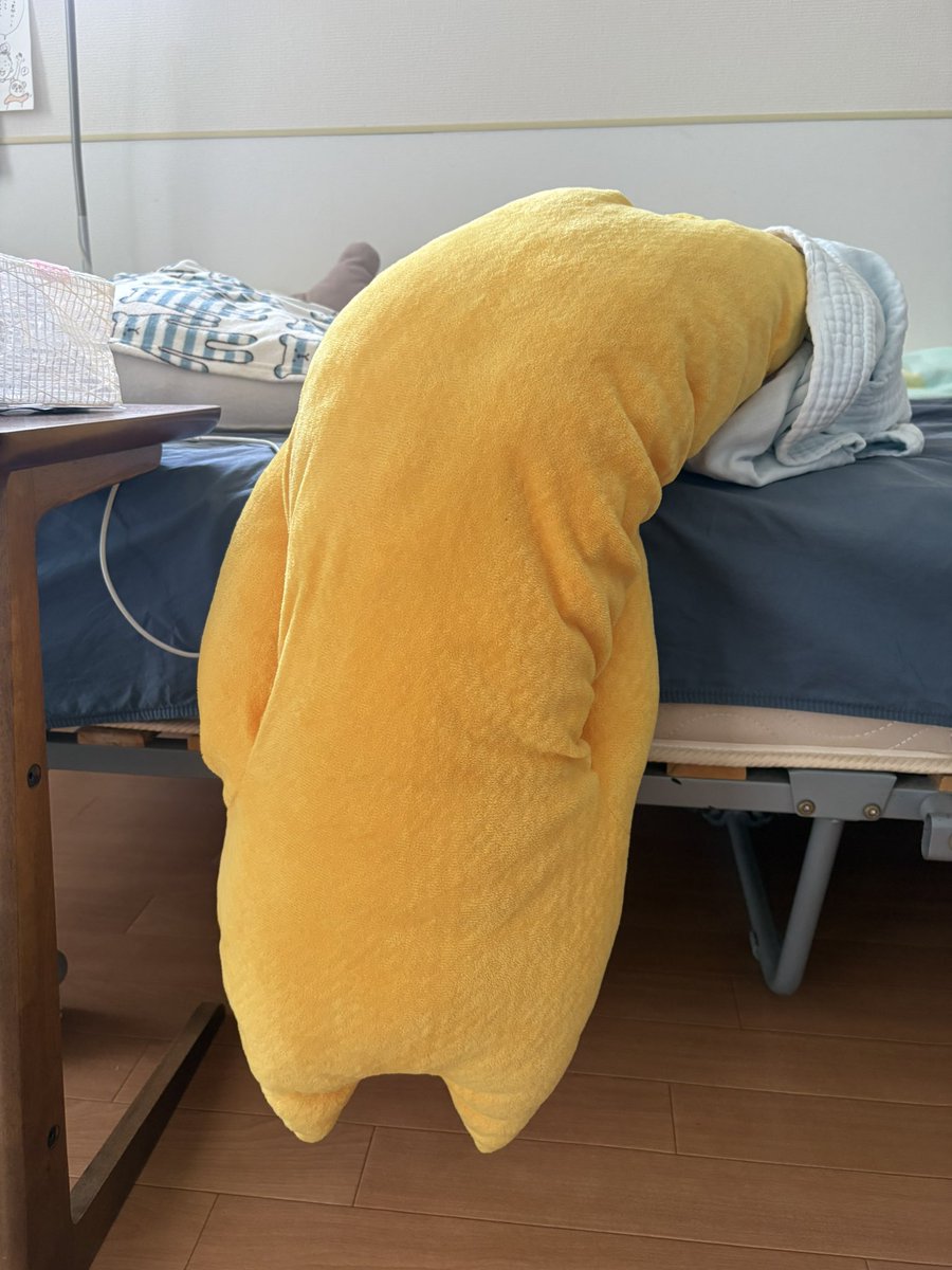 micho914's tweet photo. さすがに朝4時起床して⚽️見た後は二度寝
…からの寝起きはコレ🤣

🐨さん、カオナシで怖すぎた https://t.co/MvvfnSrWRA