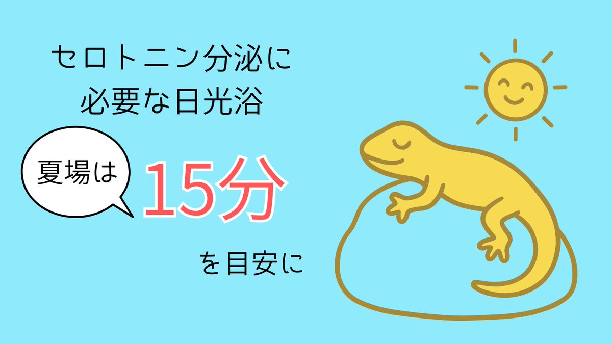 ISKRAkanpo's tweet photo. 熱中症予防、紫外線避けは大切ですが、日光を浴びることにも大切な働きがあります。

精神安定や睡眠に関わる神経伝達物質「セロトニン」の分泌には、一定以上の明るさが必要だからです。

ずっと建物の中にいるお仕事の人は、少し太陽の光を浴びる時間を作るといいですよ。 https://t.co/QepNysMP02