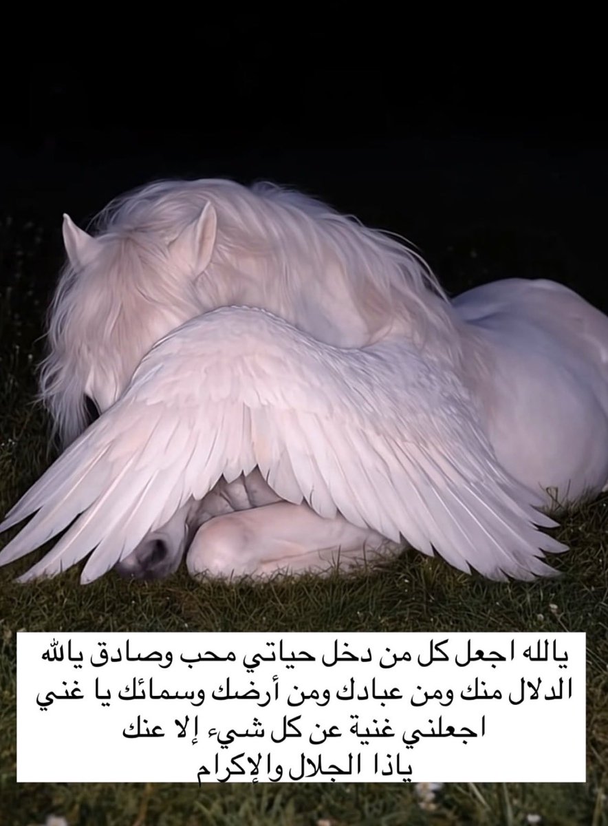 Taraf_taro's tweet photo. #الدلو #العقرب #السرطان #الجوزاء #الاسد #الميزان #الجدي #الحمل #العذراء #الثور #الحوت #القوس

هذي الصورة لدخول اصدقاء وناس محبه وداعمه لكم بصدق ايضا كررو هذه النية☀️

(انوي ان يدخل حياتي ناس محبه وداعمه لي وحنونه)💡

احد اسباب النجاح والتقدم بالحياة هي وجود ناس داعمه حولكم🙏🏻 https://t.co/5GuOhl41Gq