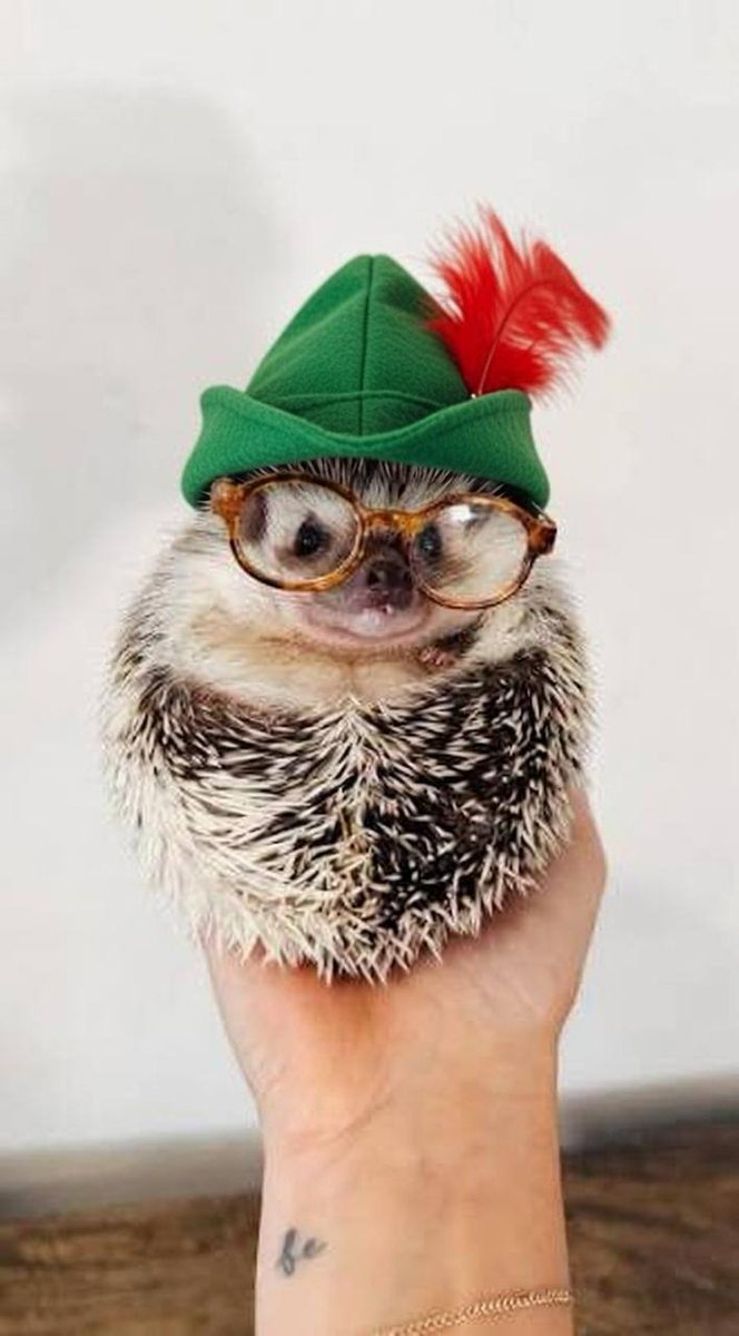 HedgeOnRH's tweet photo. @vladtenev you dropped this king https://t.co/Xb5bHZpZ2e