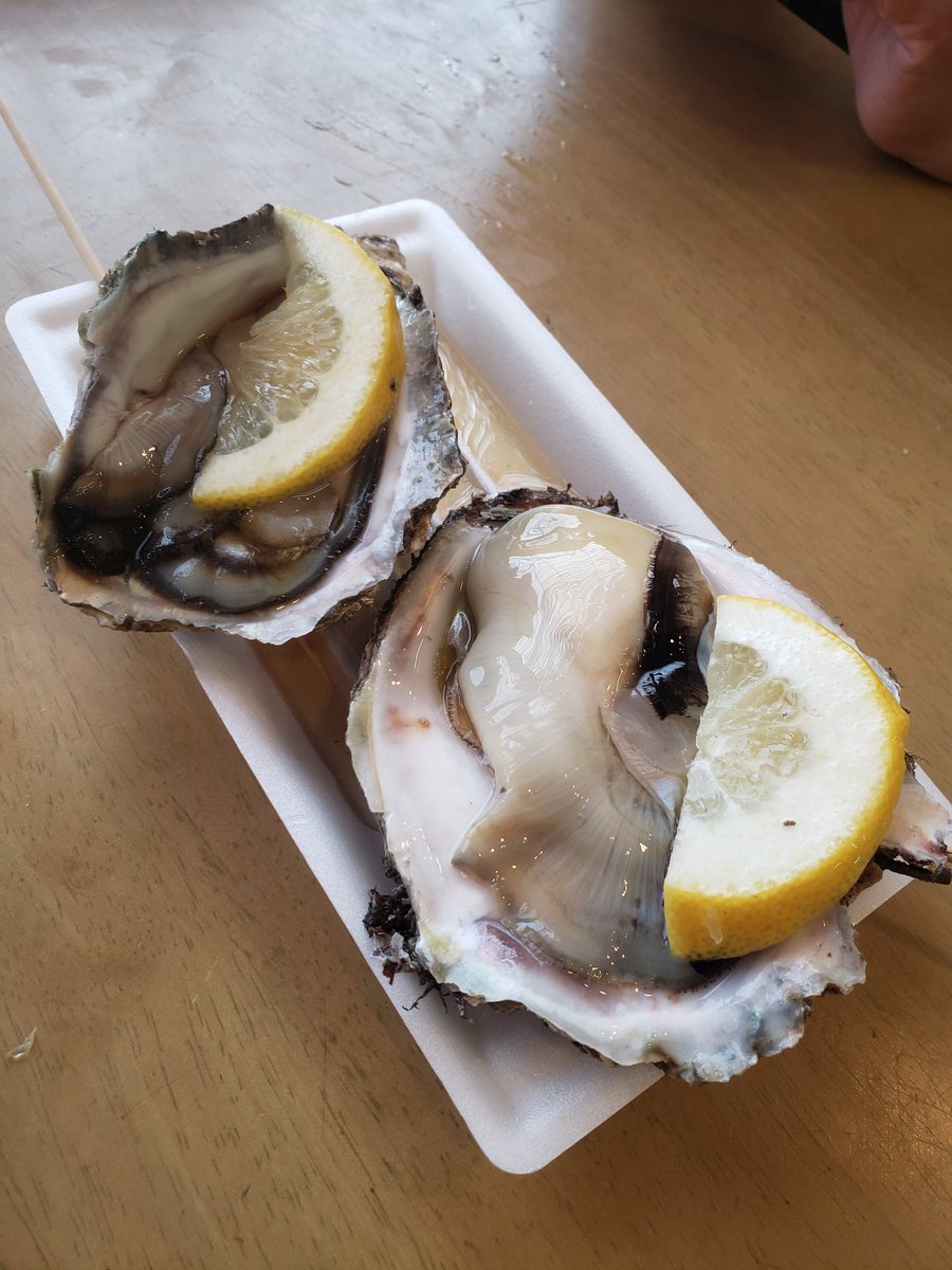 kozzy_chan's tweet photo. 毎年の恒例行事
遊佐の岩がき♪
今年も安定の値上がり、一個ま950円なり

からの～

酒田港でマグロ丼🐡

庄内満喫ツアーでした♪ https://t.co/hfF9K8T5P1