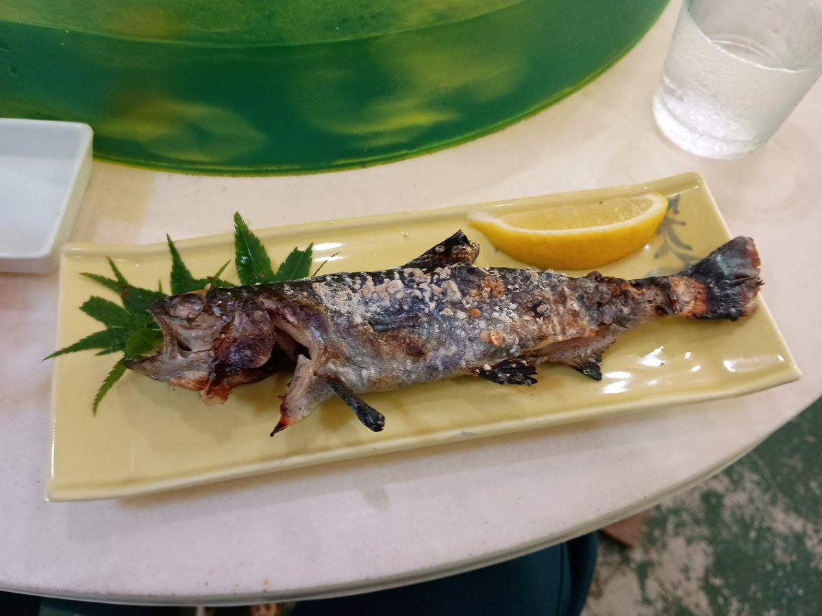 Solark_01's tweet photo. ヤマメも食べた！ https://t.co/ApnYbhQrBs