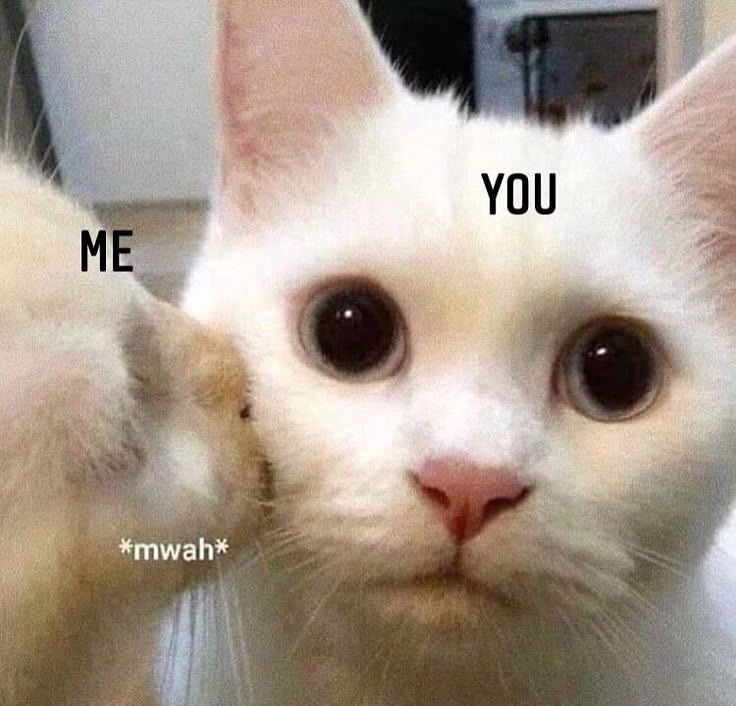 cute_msgs_'s tweet photo. https://t.co/k1B12baIYT