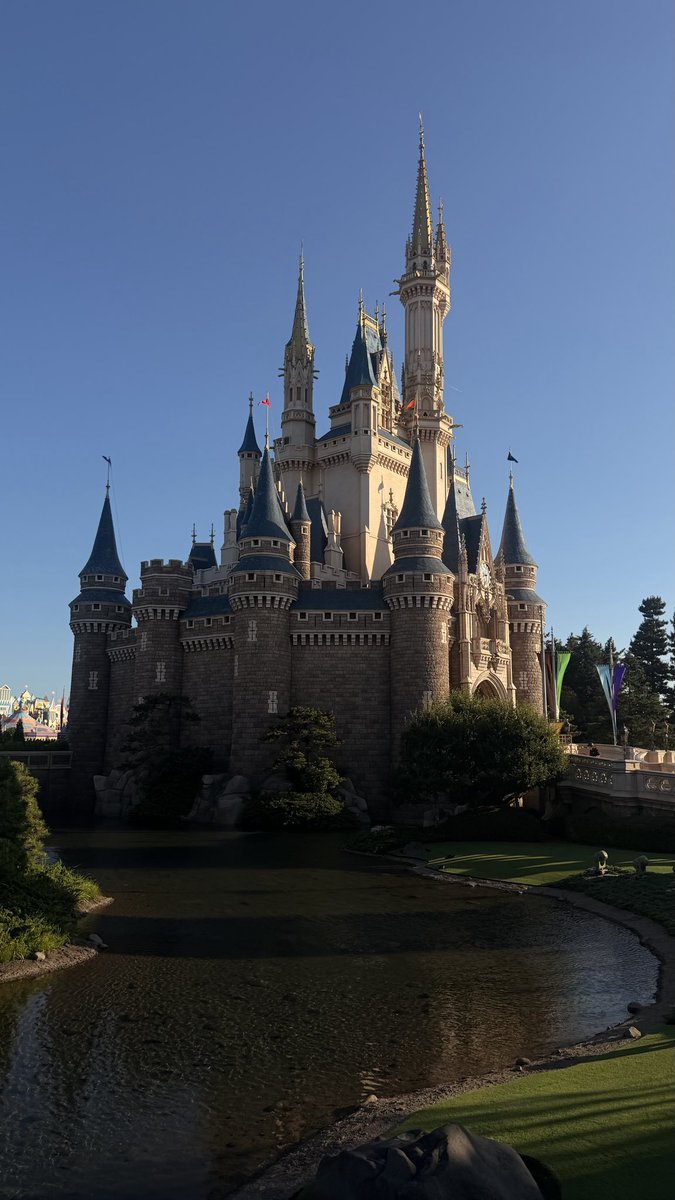 thankdayo's tweet photo. #東京ディズニーランド  
 #日常垢  #日常垢さんと繋がりたい https://t.co/FnqmyvQiXJ