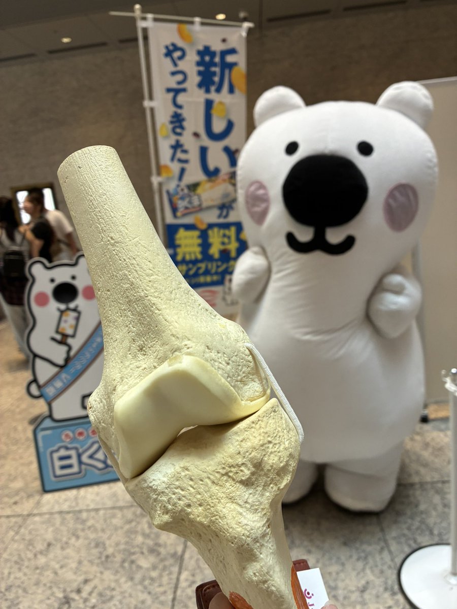 RT @JTEC_official: サービス精神もBIGなくま吉(@marunagaseika ) 白