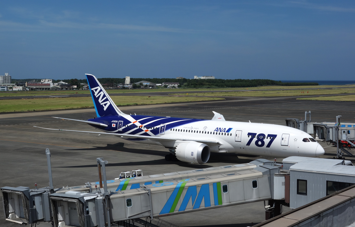 ANAの787(JA801A) 通称「鯖」 初号機と二号機は斜めストライプの