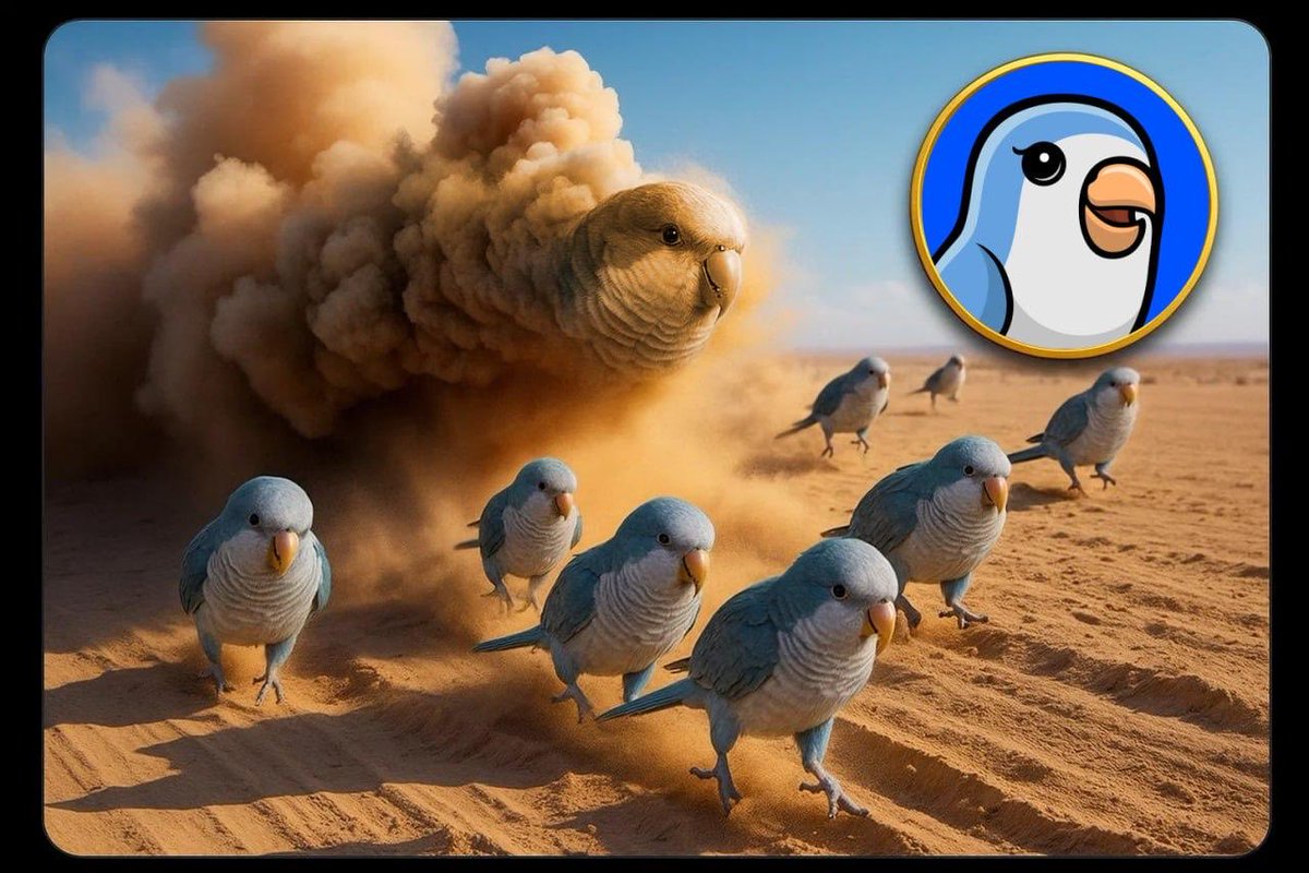 BIRB tweet media