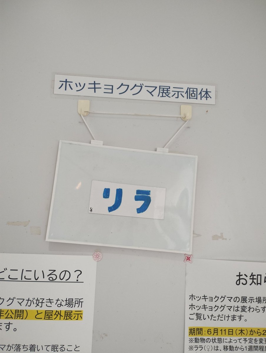 morisanberlin's tweet photo. 今日は公立の施設。
屋内とぎゃーぎゃー騒ぐガキが多くて耳栓装備です。
そいえば、いつもの場所はネネちゃんとおばぁんトコしか屋内じゃないね。 https://t.co/4U7qkezmnd