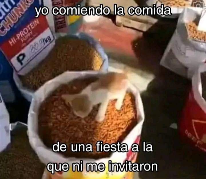 Mantequilla90's tweet photo. https://t.co/QZlHJmMUeR