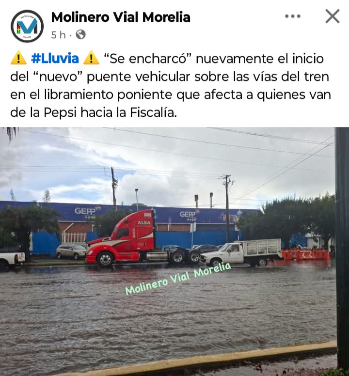 Sen. Kresteva 🇲🇽🇺🇦🇹🇼🕊️ tweet media