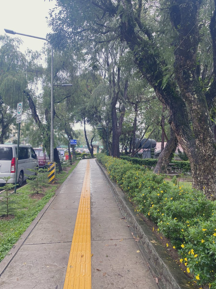 artmedhub's tweet photo. Walking 

#alterbaguio https://t.co/y8uslNyERa