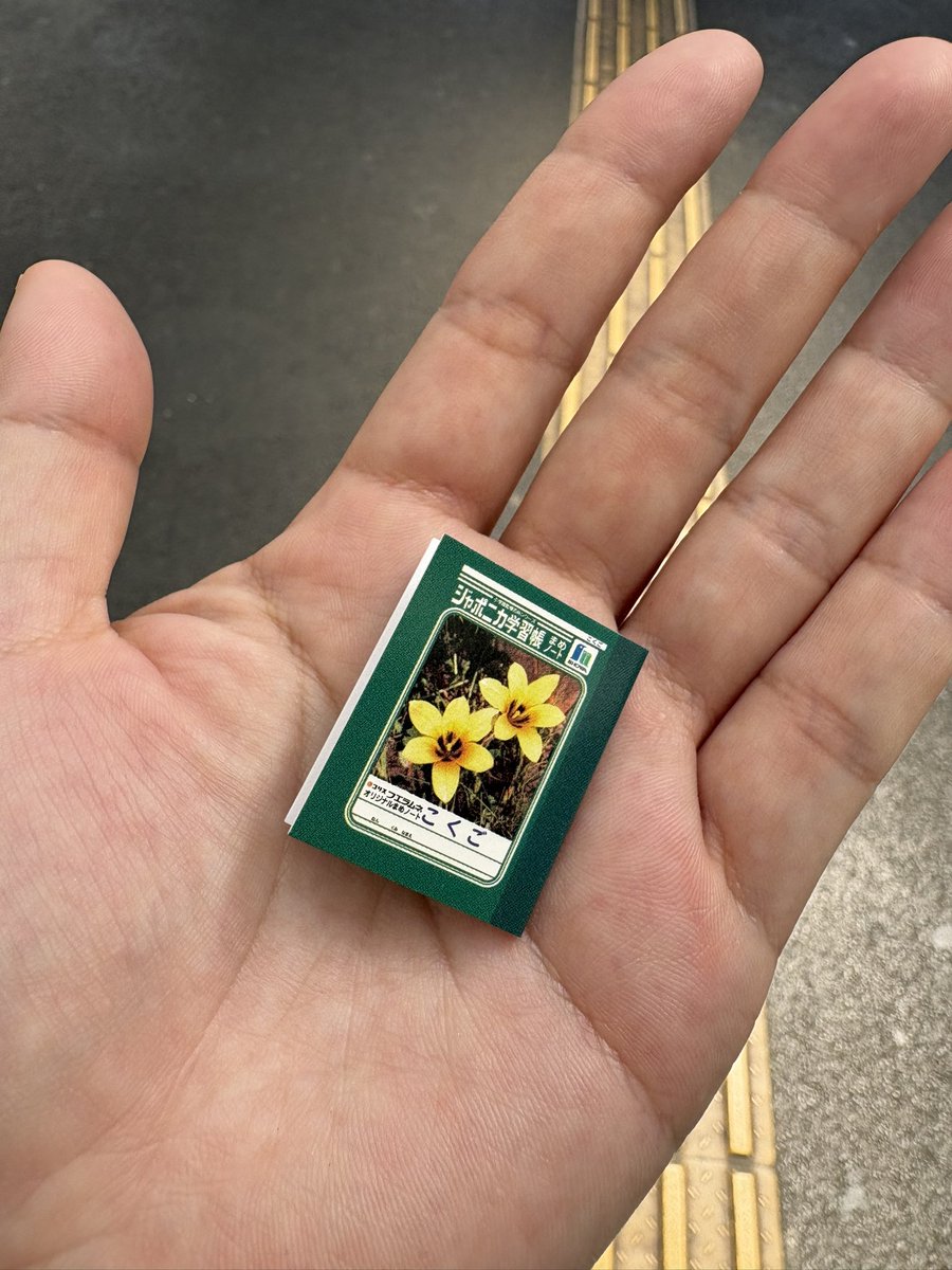 nonsora's tweet photo. ハルとお使いでお出掛け。
こんなの発見😳
ジャポニカ学習帳ちっさ！ https://t.co/lfTikNEDkS