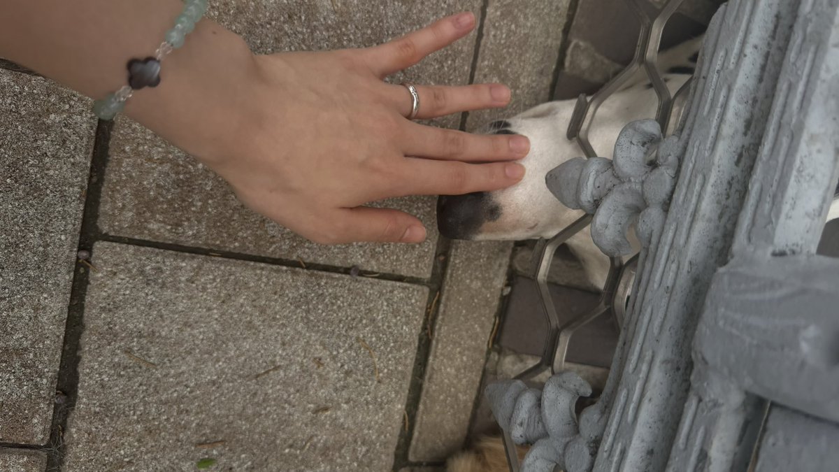 針 tweet media