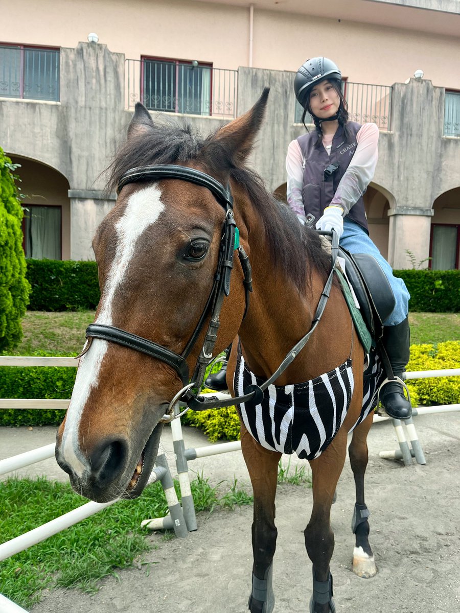 rana_morishita's tweet photo. またまた行ってきました🐎 https://t.co/YDWwpJLy1Q