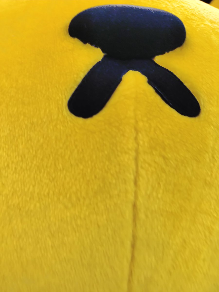 ぴよ（北海道のおばちゃん） tweet media