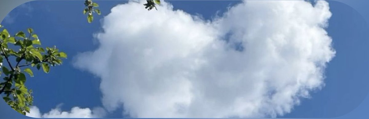 0vwvv's tweet photo. الطمأنينة إنك تتحرر من كل ما كنت تشعر به، وتصير خفيف مثل الطير، ما تشيل أي مشاعر تثقلك، وتحس إنك أخيرًا تقدر تتنفس بعمق https://t.co/oz1mrjUNvc
