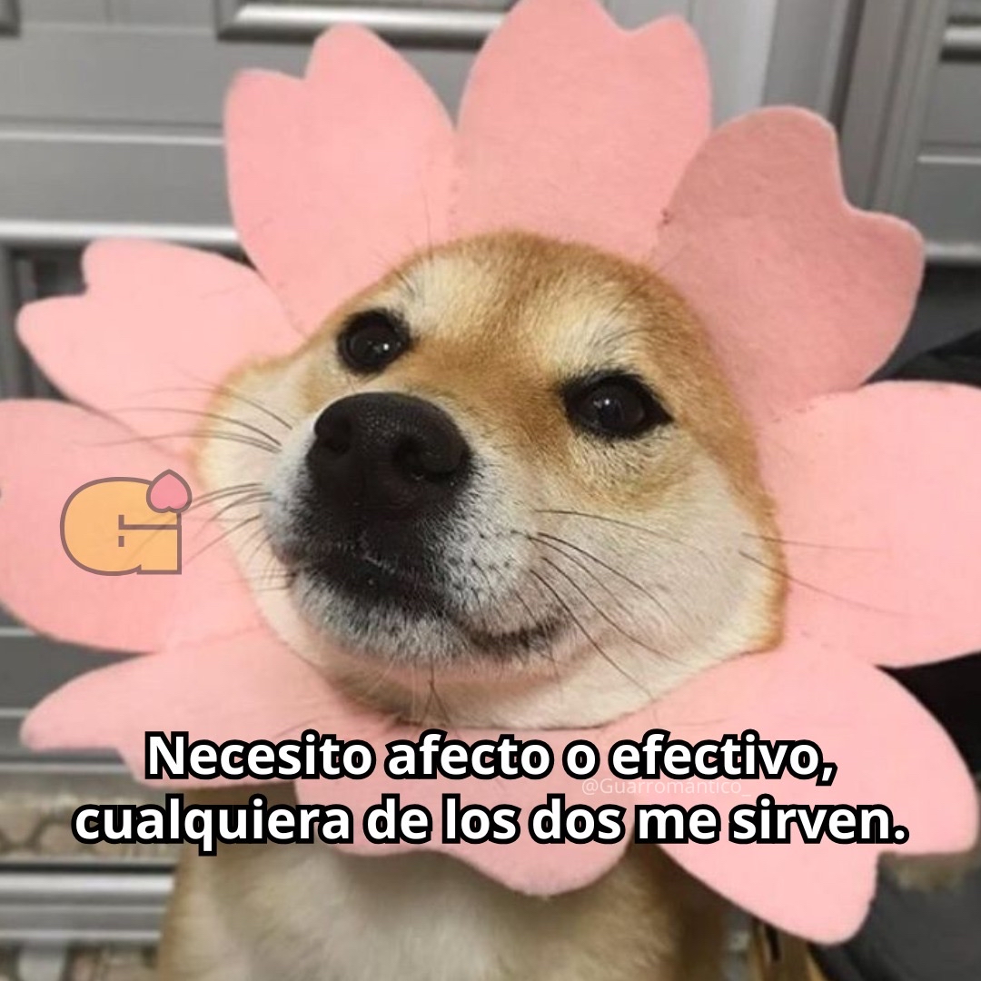 Guarromantico_'s tweet photo. Necesito. https://t.co/sjK8HBnYQ8