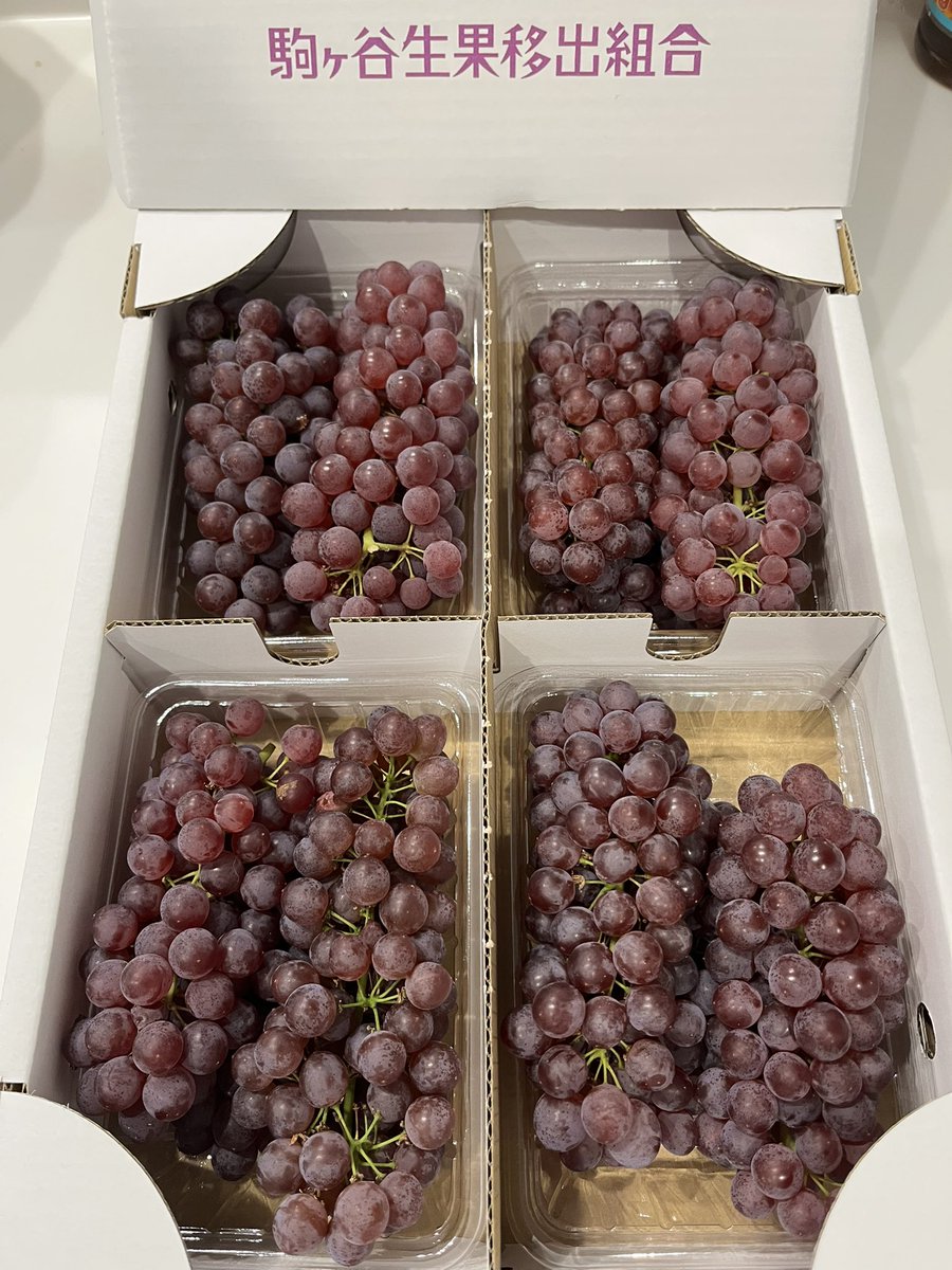 myplace628's tweet photo. 羽曳野市の名産物デラウェア
甘くて美味しいです🍇
食べやすいので子どもに大人気です！ https://t.co/FHpqLARh9V