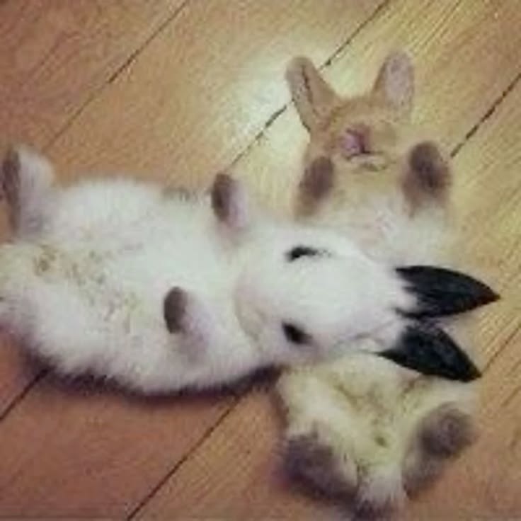 bunniwentz's tweet photo. me and mel are literally twins btw like. dis is us😭😭😭 @musicalfevers https://t.co/ilKobmOqSO