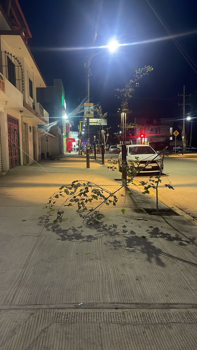 JC_GMarquez's tweet photo. TROZAN ÁRBOLES RECIÉN PLANTADOS EN SANTA LUCÍA DEL CAMINO

Buenas noches Santa Lucía del Camino, es lamentable ver que aún existen gentes que no quieren ver el progreso de nuestro municipio; el pasado miércoles llevamos a cabo una plantación masiva en la Av. Lázaro Cárdenas y hoy lamentablemente vemos trozados varios árboles. La pregunta es ¿qué les hace un árbol? ¿Con qué intención lo hacen? 

Ante ello, les informamos que gracias a las cámaras de C2 Santa Lucía y del C5i están plenamente identificados y procederemos con las acciones legales pertinentes.