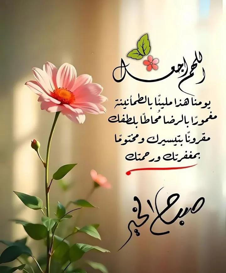jaber132014's tweet photo. #صباح_آلخيــــر 🫶🏻🌸 https://t.co/AYidJWe4pA