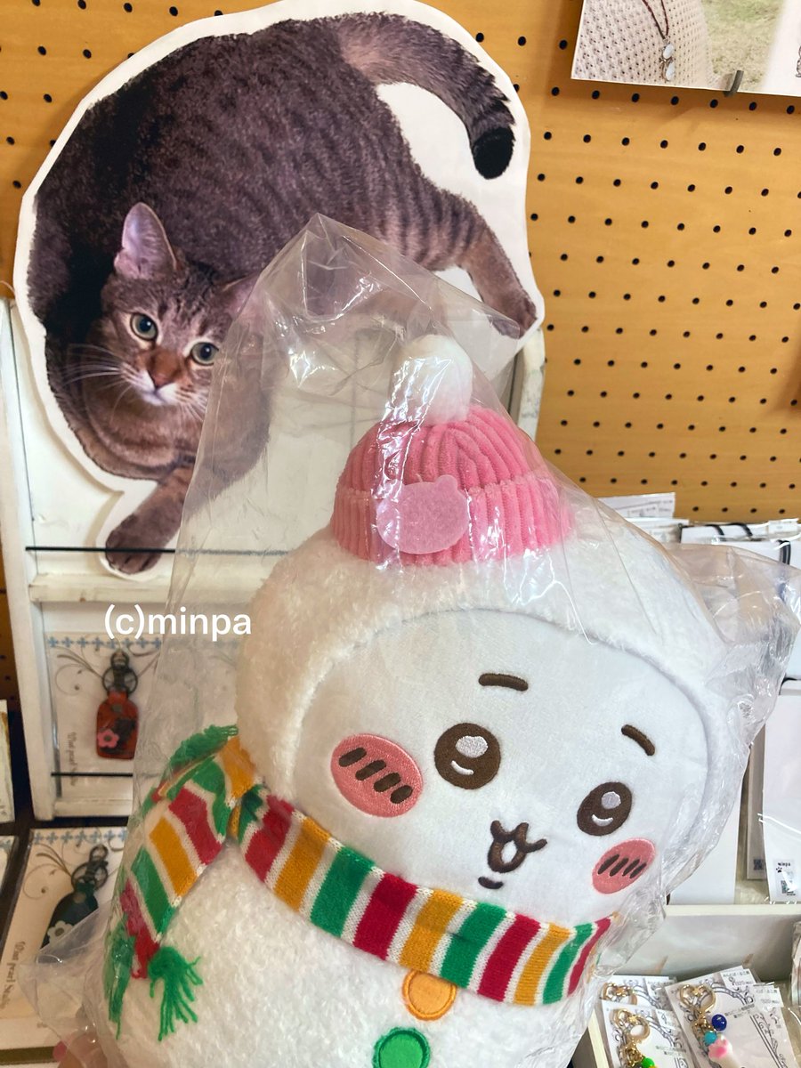 idumi888's tweet photo. ちいちゃん🤭
お差し入れいただきました
うちのと双子になりました♡
素敵なご愛用も嬉しい✨
ありがとうございます♪
#みんとぱーる工房　#個展開催中
#ねこの時計　
今日はカフェはお休みです https://t.co/h4goOQVb1N