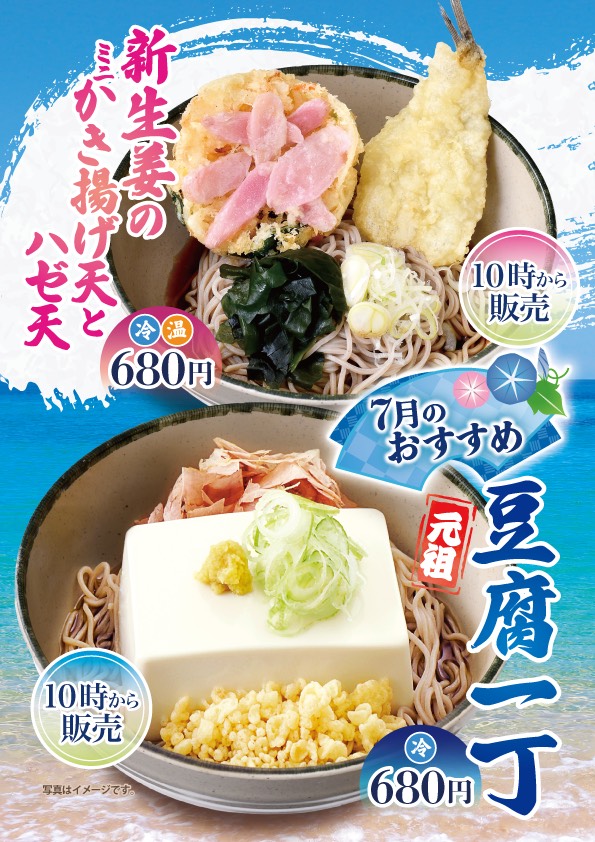 hako_soba's tweet photo. 豆腐一丁日和☀ https://t.co/jwRjW58I8t