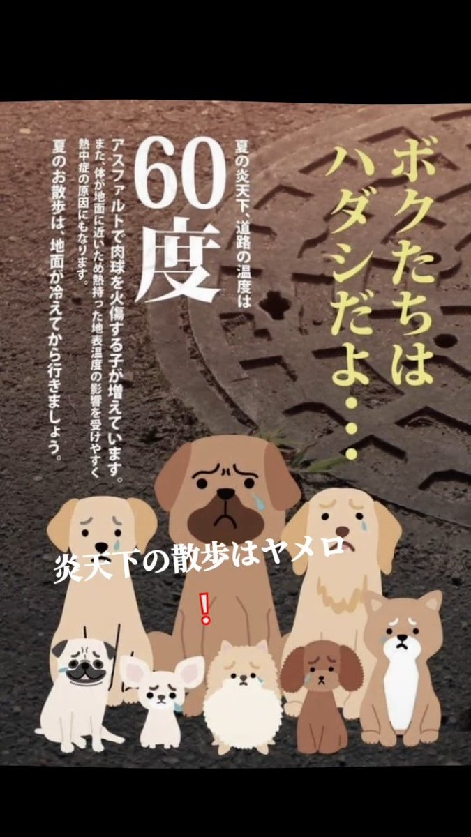 merurinmer55093's tweet photo. 🌞猛暑日が続きます

●　日中の犬の散歩は控えてください
●アスファルトに触れて感じてください

●車内に置き去りもお止めてください
●買い物ついでに犬の散歩🐾
　●店の前に犬の係留もお止めください

安心安全は飼い主に委ねられています🍀 https://t.co/cPWQ99jhfY