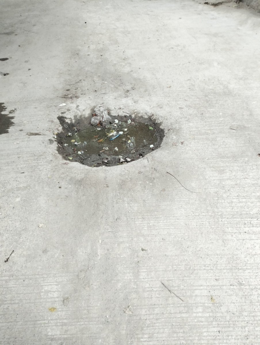 sufianbadar1's tweet photo. @noida_authority Sector 82, Near Community Health Centre, Bhangel, Contractor jee: Concrete is coming out of the road just after 2/3 weeks. Please ask your worker to fix it urgently. Unfortunately, quantity of cement is almost negligible. Please don't tarnish the image of CEO and state govt https://t.co/wQo7ChimnG