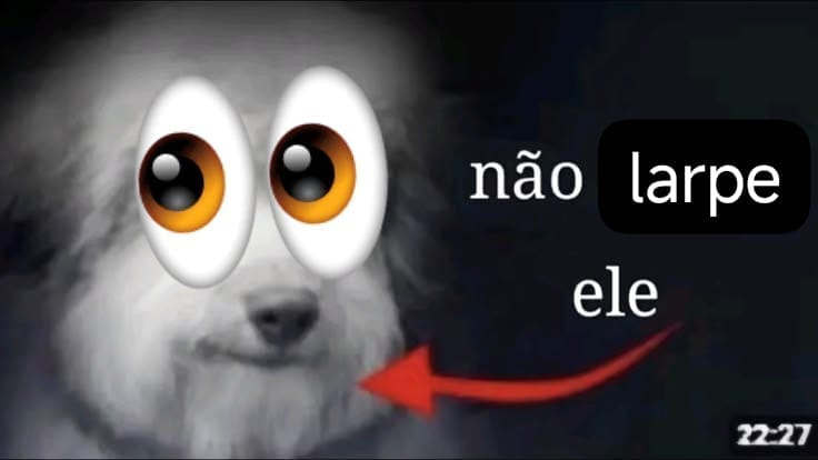Bealarp tweet media