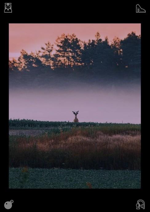 chrispy1213's tweet photo. Fell asleep while reading something interesting because sleep took over. The summer rural landscape is simple and beautiful, featuring swaying green crops and winding country roads. This natural pastoral scenery captures the most authentic vitality of summer. https://t.co/YInqfN2fUx